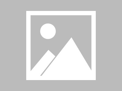 建材市场，从 primitive 到 Digital 的蜕变之旅